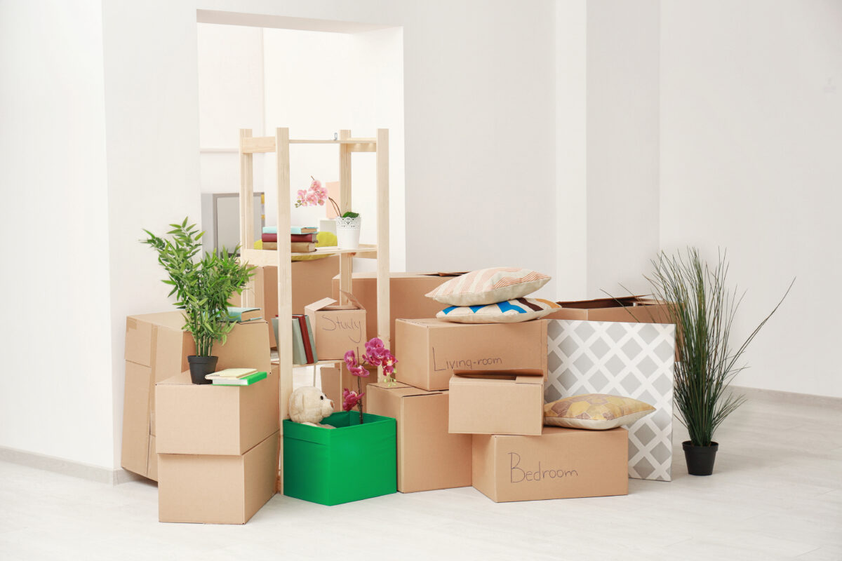 Lagerung - Zügelmann Umzug, Reinigung