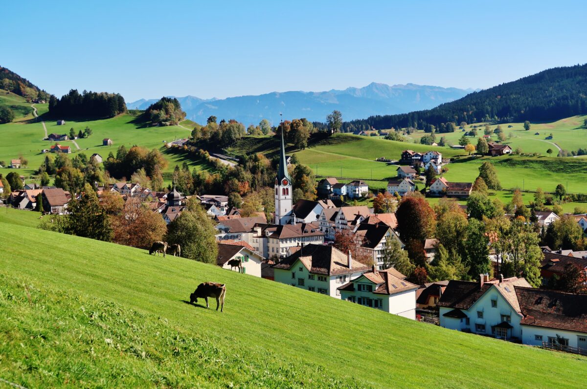 Zügeln Appenzell Ausserrhoden - Zügelmann